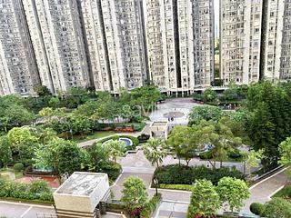 Lam Tin - Sceneway Garden 04