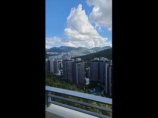 Sha Tin - Le Cap 11