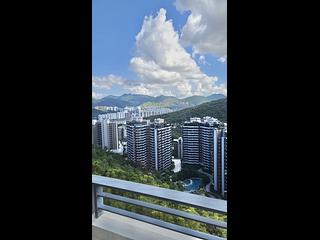 Sha Tin - Le Cap 02