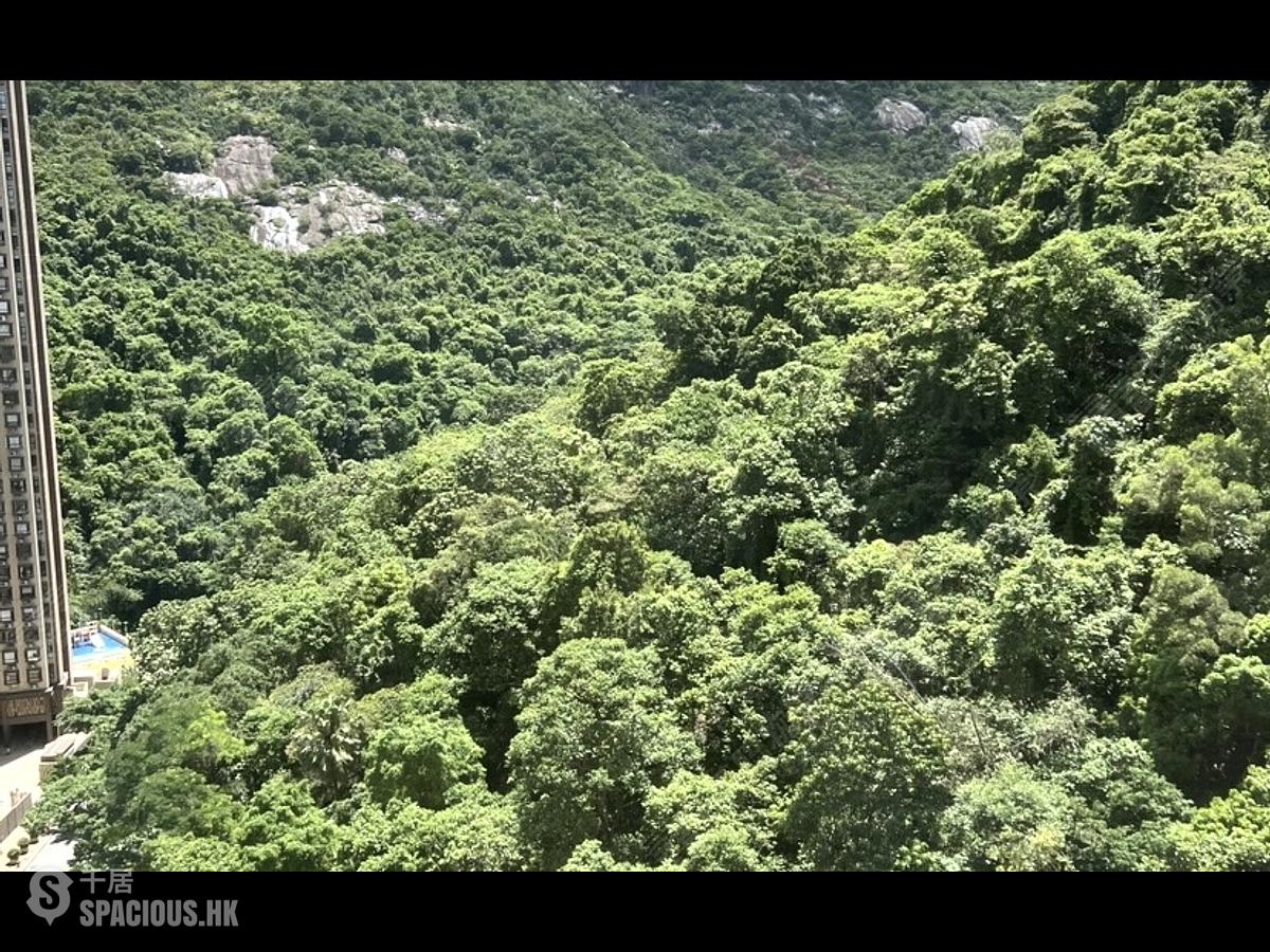 大坑 - 大坑台 01