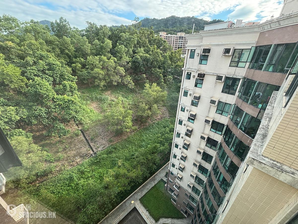 Tai Po - The Paragon 01