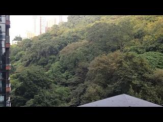 天后 - 柏傲山2座 13