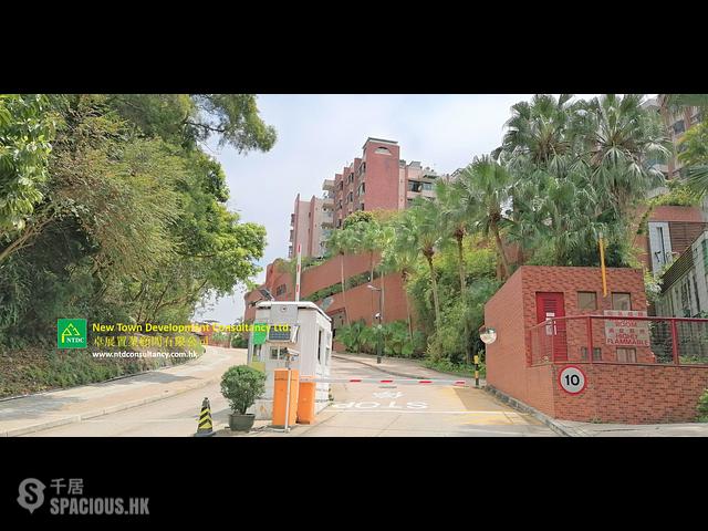 Tai Po Kau - Savanna Garden 01