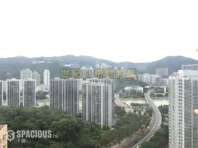 Sha Tin - Yue Tin Court 01