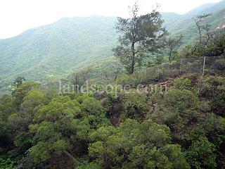 大潭 - 阳明山庄 山景园 02