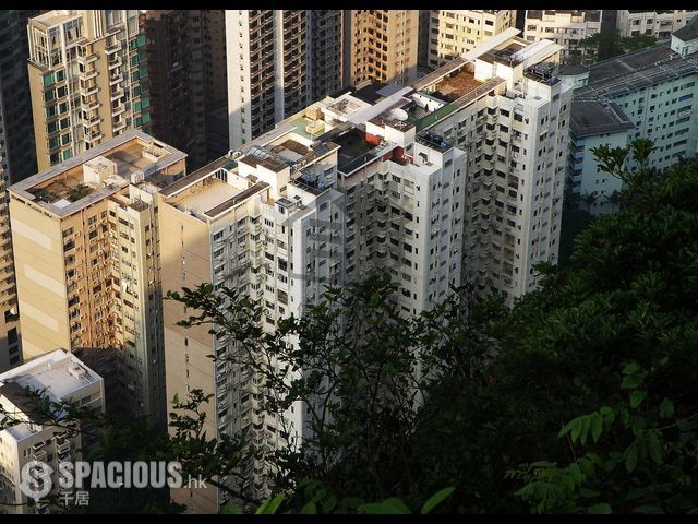 Gold Coast / So Kwun Wat - Pearl Garden 01
