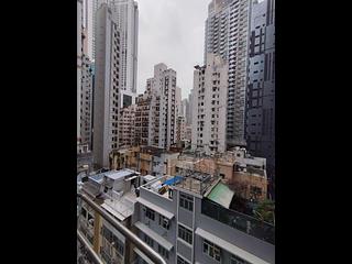 Wan Chai - Po Ngai Garden 02