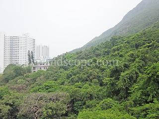 Pok Fu Lam - Alberose 02