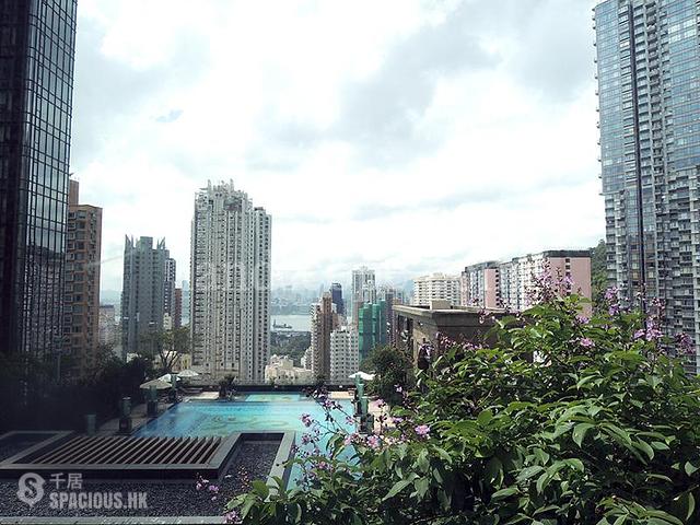 Tai Hang - The Legend 01
