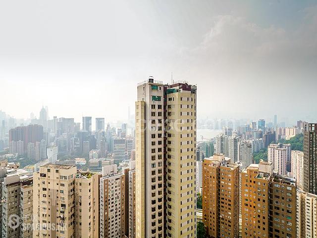 Tai Hang - Flora Garden 01