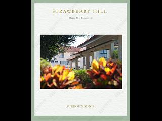 The Peak - Strawberry Hill 03