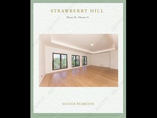 The Peak - Strawberry Hill 05