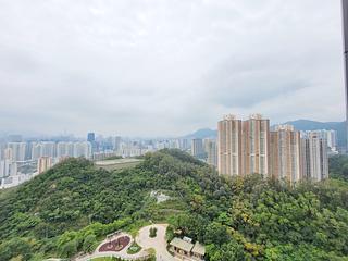 Ngau Chi Wan - Aria Kowloon Peak Tower 5 03