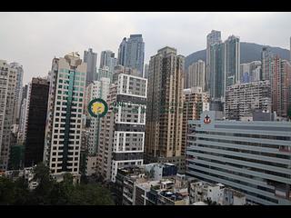 Sheung Wan - Hollywood Centre 06