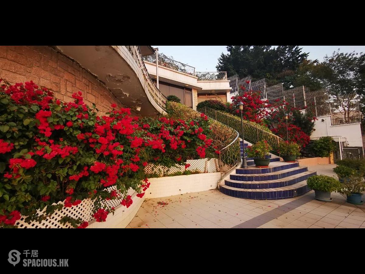 Pok Fu Lam - Villa Primavera 01