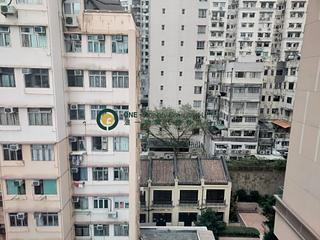 Sai Ying Pun - Goodwill Garden 06