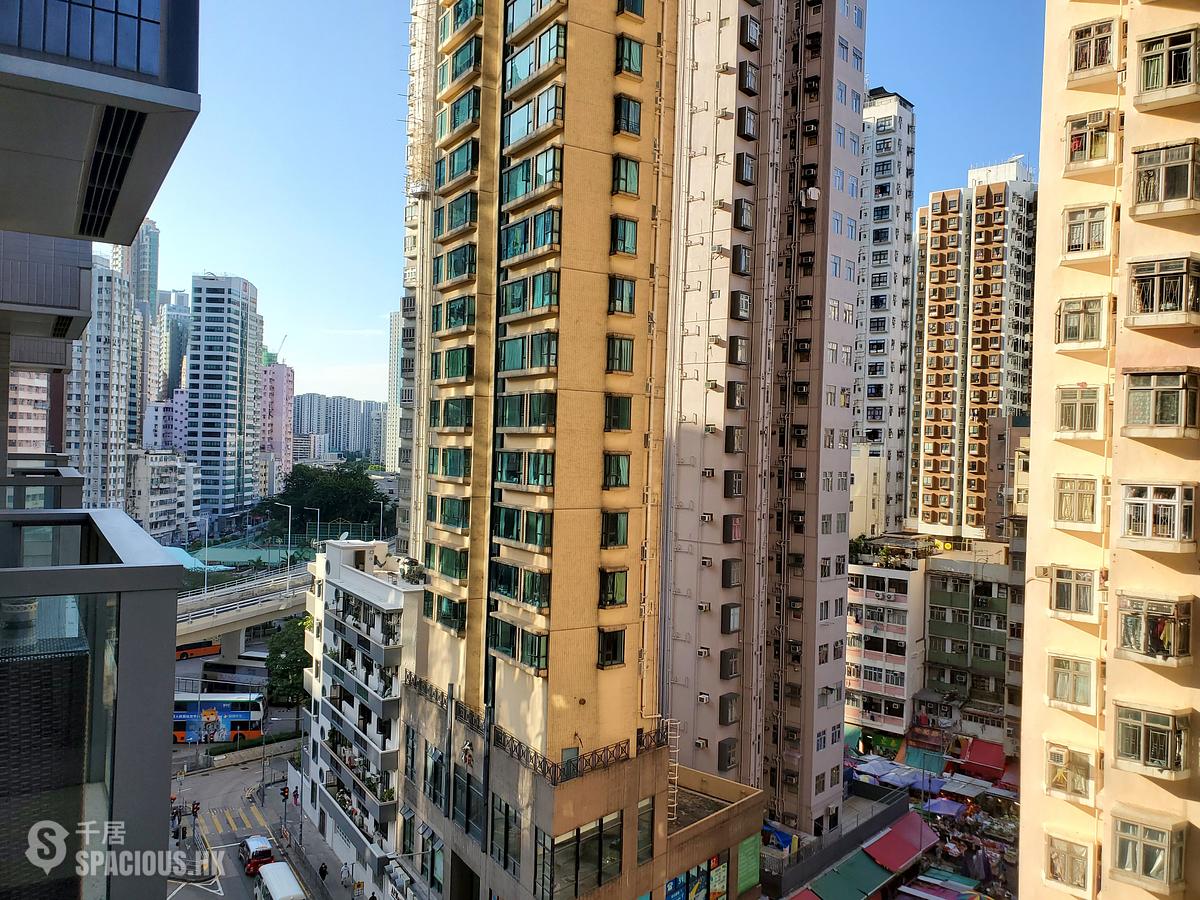 Shau Kei Wan - Lime Gala Block 1A 01