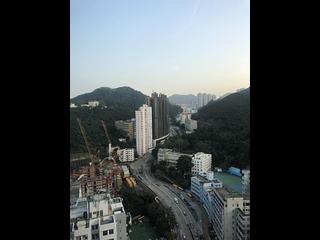 Shau Kei Wan - Lime Gala Block 1A 38