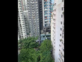 Wan Chai - Fully Building 02