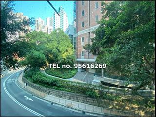 Sai Ying Pun - Lim Kai Bit Yip 09