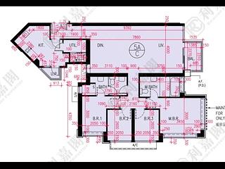 Sham Shui Po - Cullinan West Phase 3 Cullinan West II Tower 5A 05