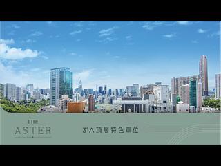 跑马地 - THE ASTER (RESIGLOW) 03