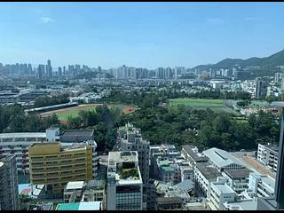 Kowloon City - Allegro 11
