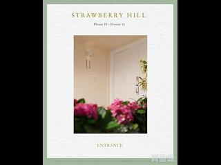 The Peak - Strawberry Hill 03