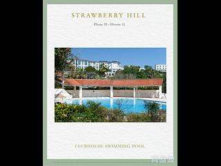 The Peak - Strawberry Hill 09