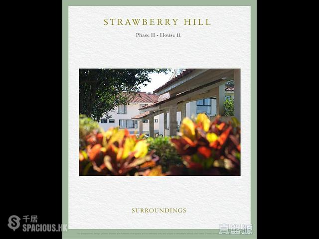 The Peak - Strawberry Hill 01