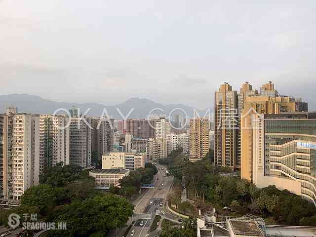 Ho Man Tin - Dragon View 17