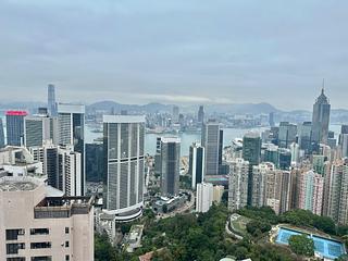 東半山 - 峰景花園 02