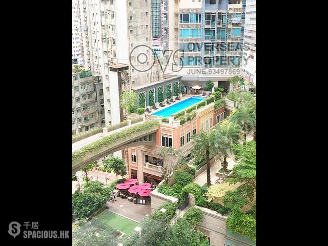 Wan Chai - New Spring Garden Mansion 01