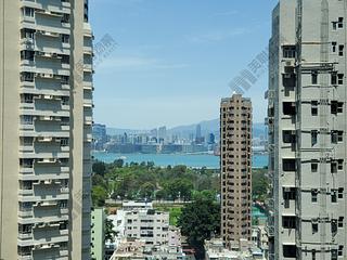 Tai Hang - Y.I 03