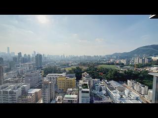 Kowloon City - Allegro 06