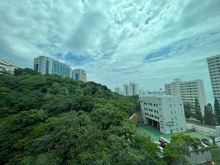 Pok Fu Lam - Regent Palisades Block 3 07