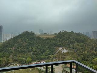 Ngau Chi Wan - Aria Kowloon Peak Tower 3 16