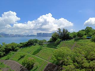 小西灣 - 富景花園 02