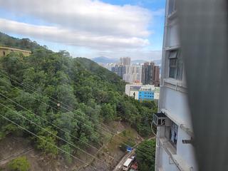 Chai Wan - Shan Tsui Court 17