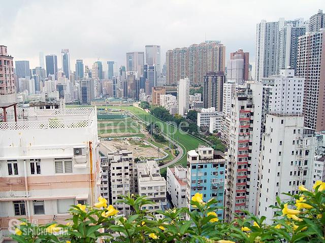 跑马地 - 学谈花园 02