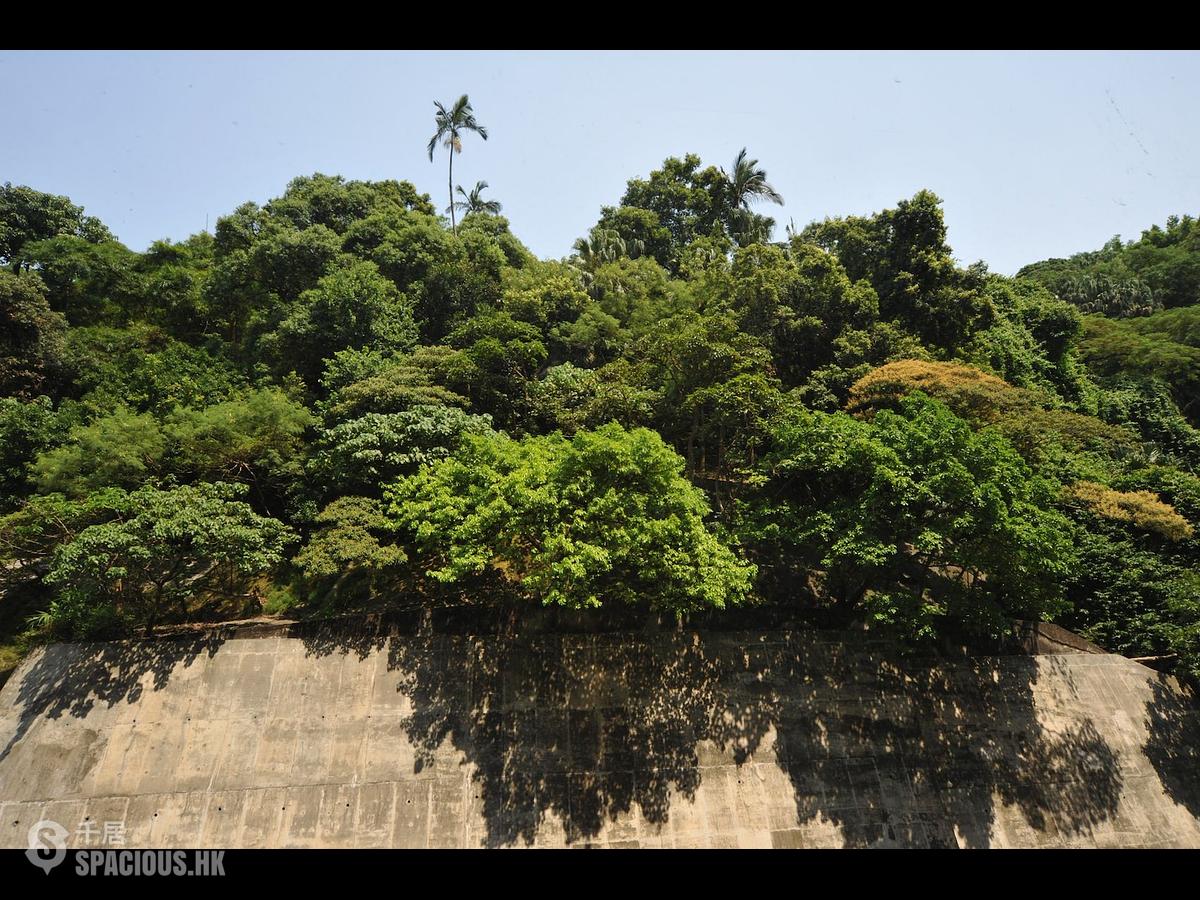 薄扶林 - 碧瑶湾22座 01