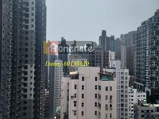 Sai Ying Pun - Yuk Ming Towers Block 2 08