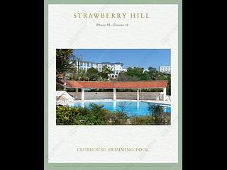 The Peak - Strawberry Hill 08