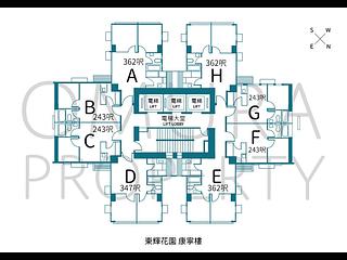 Poho - 东辉花园 04