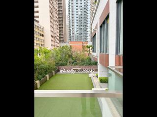 Sai Ying Pun - The Summa 11