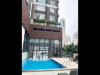 Sai Ying Pun - The Summa 12