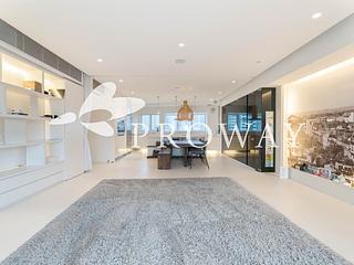 Mid Levels Central - Birchwood Place 04