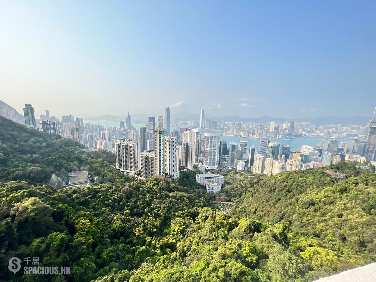 山顶 - 马己仙峡道26号 01