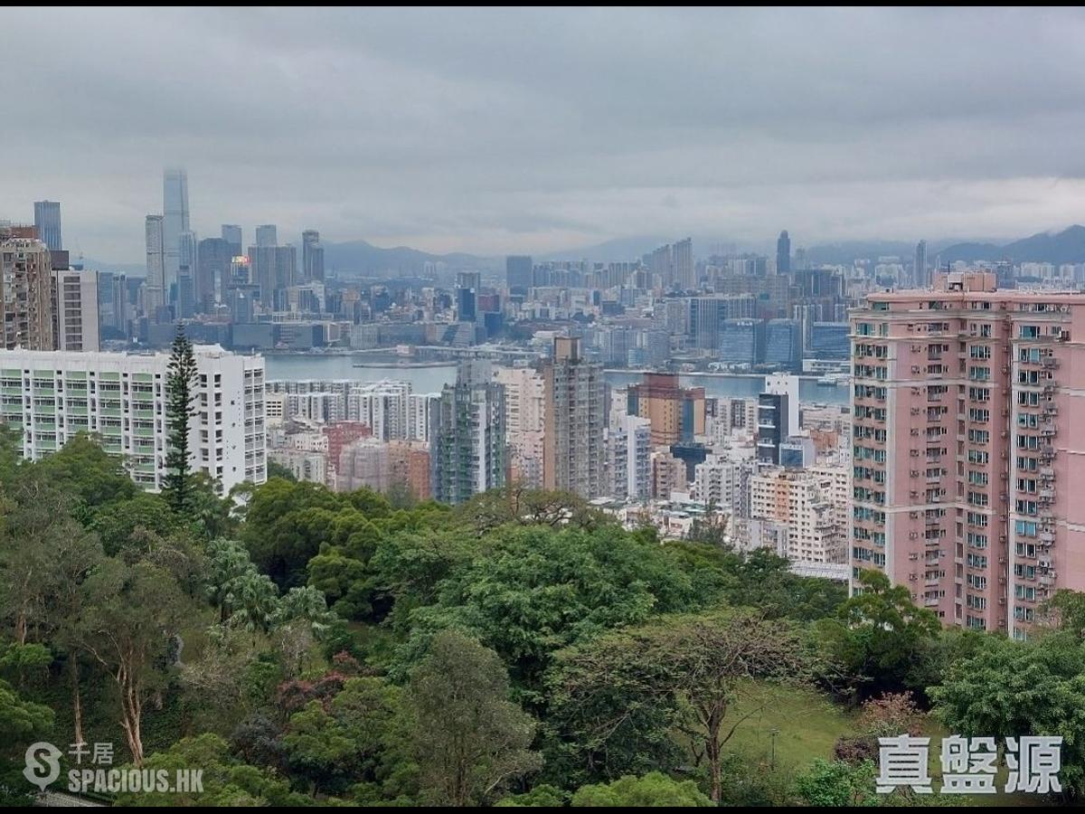 宝马山 - 赛西湖大厦15座 01