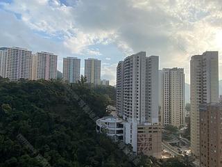 Tai Hang - The Legend 11